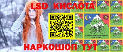 шишки Нарткала