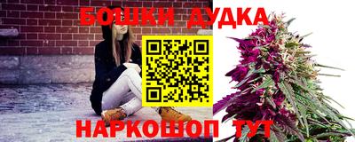 стафф Нальчик