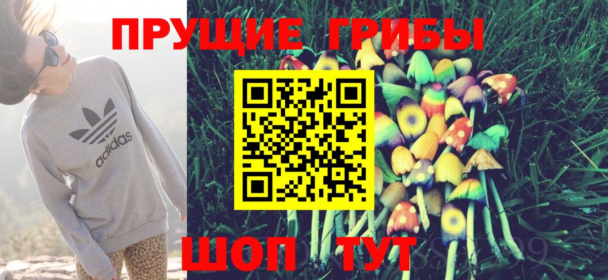 Свободный  Галлюциногенные грибы мицелий  Вход с VPN  Галлюциногенные грибы Cubensis 